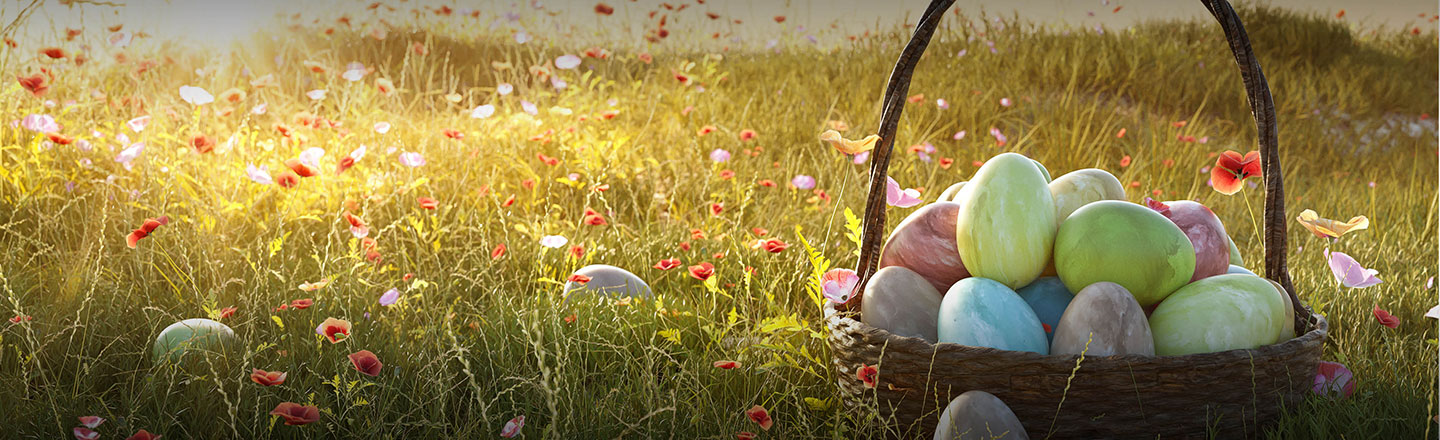 An eggcellent offer exclusively for you.